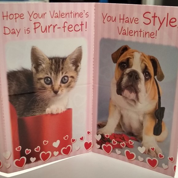 Valentine's Day Cards by Rachael Hale   Crowned Kitty Collection Box - Picture 5 of 15